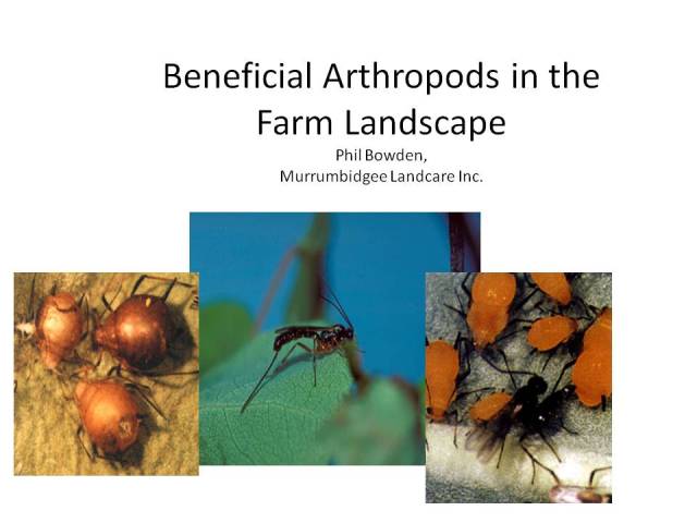 Beneficial Arthropods